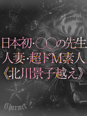 AN【B】/