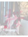 桜(さくら)