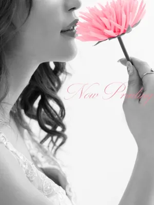 新人・桜(さくら)