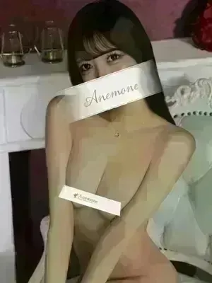 めぐり