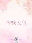 滝見 智紗
