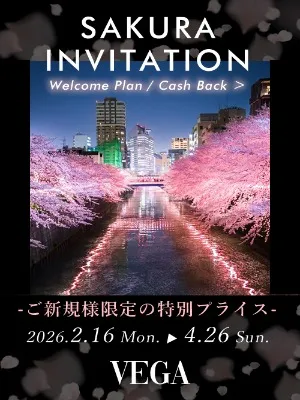 ご新規様専用プラン