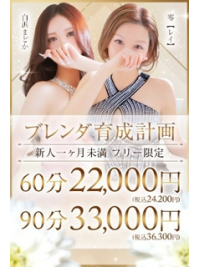 【ブレンダ育成計画】  