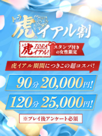 90分20,000円！