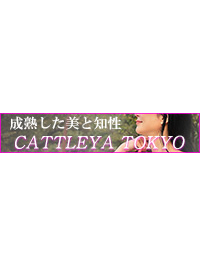 コンシェルジュコースのご紹介