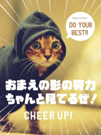 CLUB FOCUS 六本木