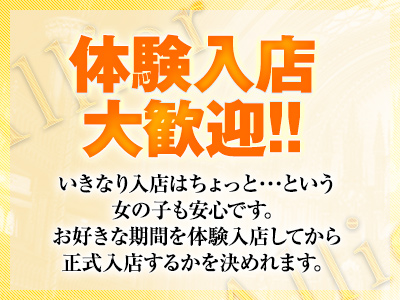 Allier 特徴イメージ1