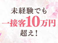 乙女のはにかみ 特徴イメージ1