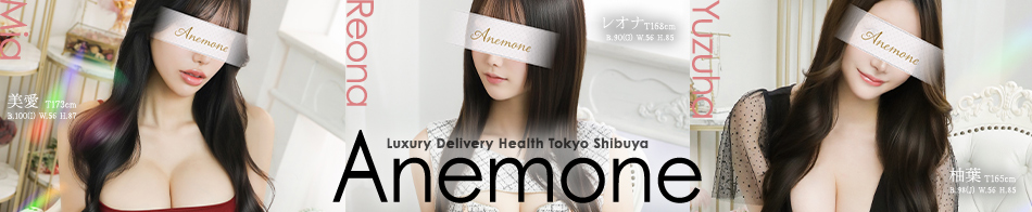 Anemone渋谷店