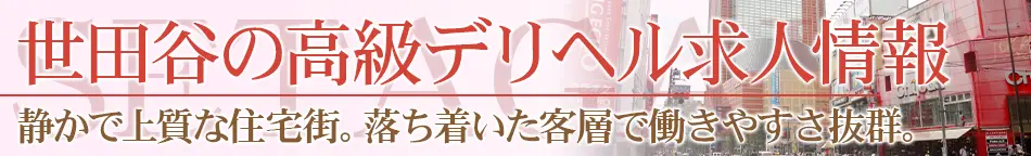 世田谷の高級デリヘル求人【高級デリヘル求人パーフェクトガイド】